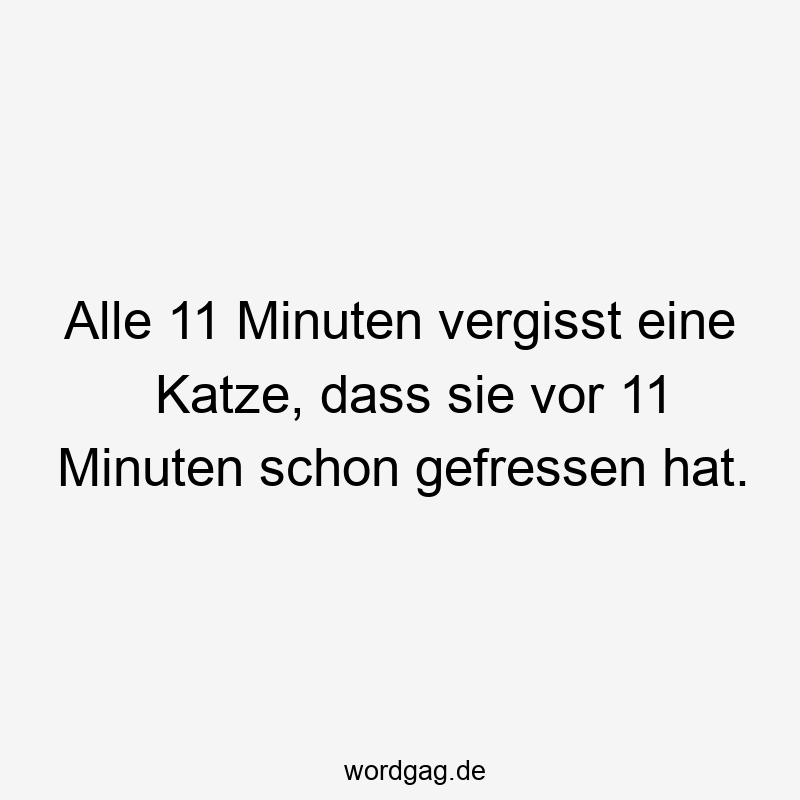 Alle 11 Minuten vergisst eine Katze, dass sie vor 11 Minuten schon gefressen hat.