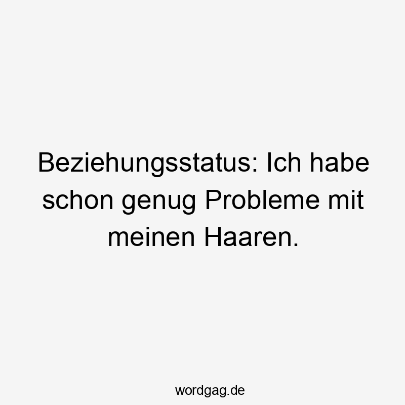 Beziehungsstatus: Ich habe schon genug Probleme mit meinen Haaren.