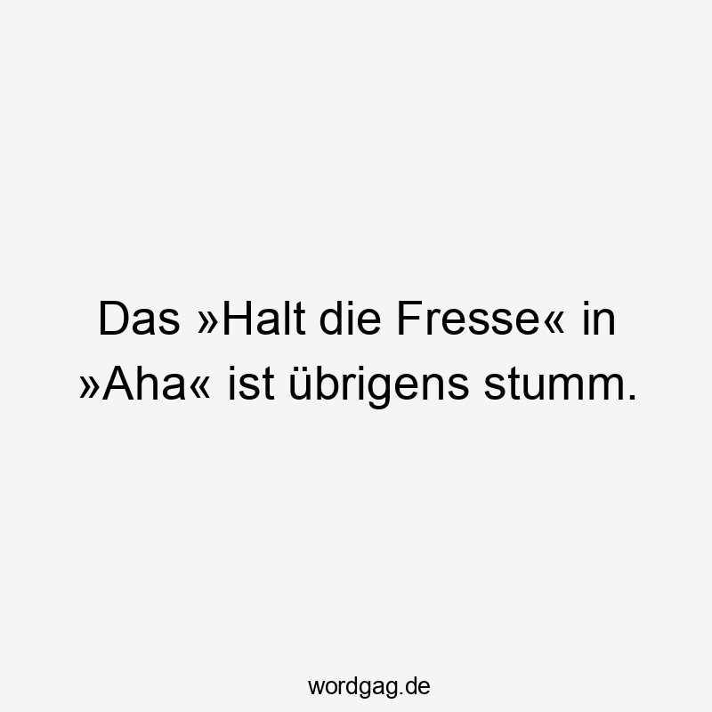 Das »Halt die Fresse« in »Aha« ist übrigens stumm.