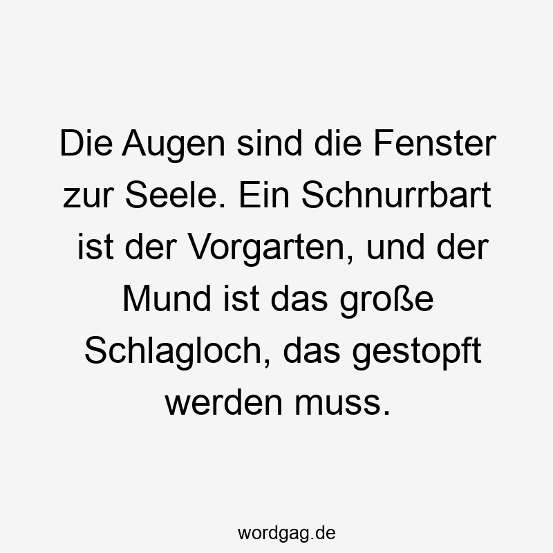 Lustige Sprüche: Schlagloch - Die Augen sind die Fenster zur Seele. Ein Schnurrbart ist der Vorgarten, und der Mund ist das große Schlagloch, das gestopft werden muss.