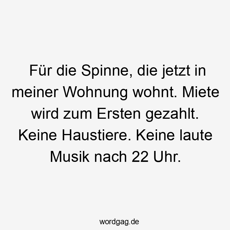 Für die Spinne, die jetzt in meiner Wohnung wohnt. Miete wird zum Ersten gezahlt. Keine Haustiere. Keine laute Musik nach 22 Uhr.