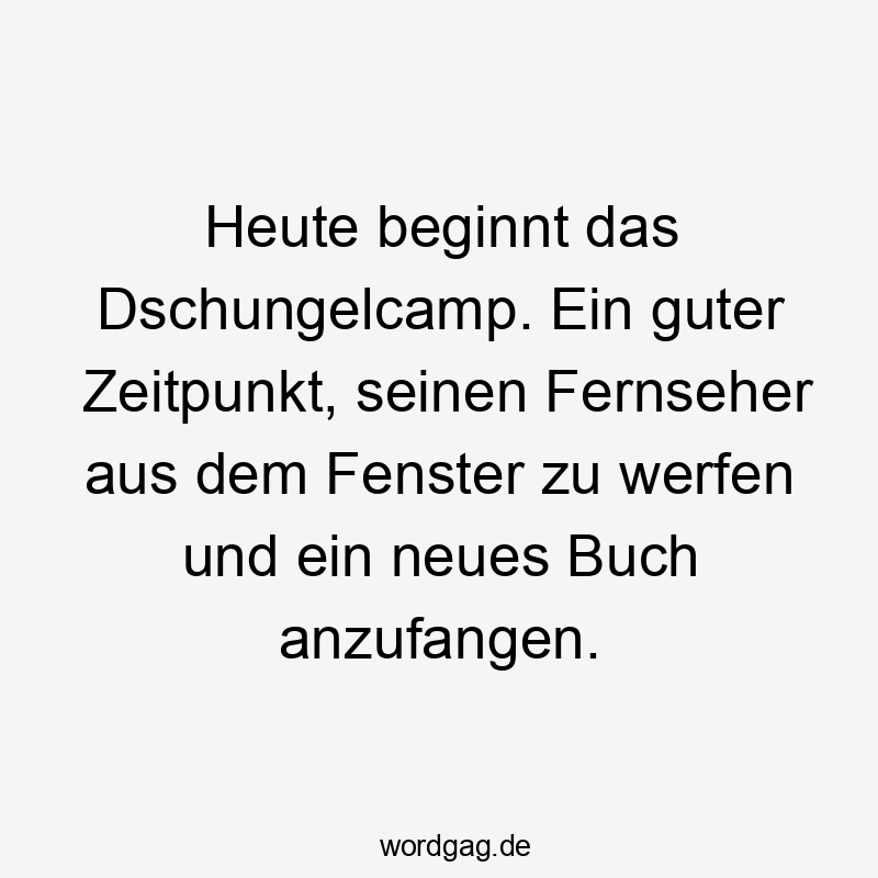 Heute beginnt das Dschungelcamp. Ein guter Zeitpunkt, seinen Fernseher aus dem Fenster zu werfen und ein neues Buch anzufangen.