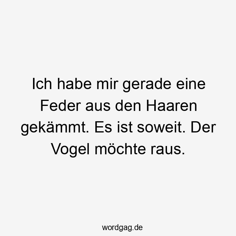 Ich habe mir gerade eine Feder aus den Haaren gekämmt. Es ist soweit. Der Vogel möchte raus.