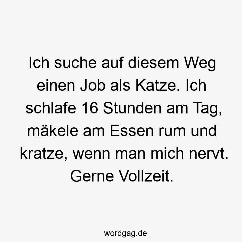 Ich suche auf diesem Weg einen Job als Katze. Ich schlafe 16 Stunden am Tag, mäkele am Essen rum und kratze, wenn man mich nervt. Gerne Vollzeit.