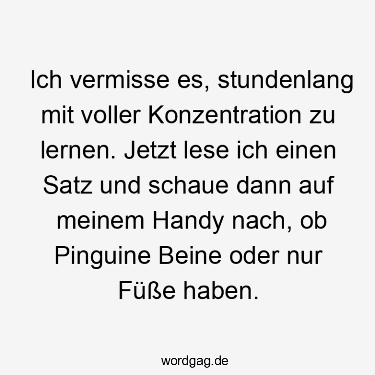 Lustige Pinguin Sprüche Wordgag