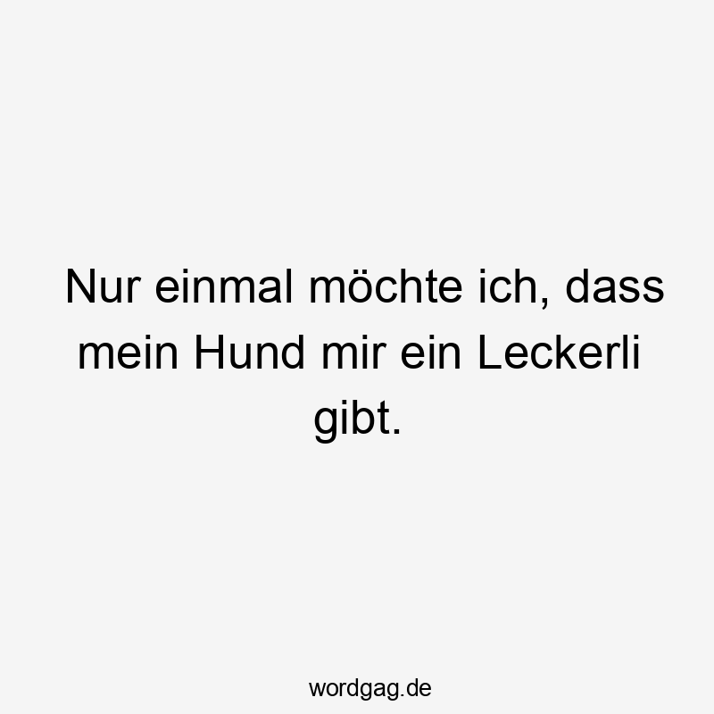 Nur einmal möchte ich, dass mein Hund mir ein Leckerli gibt.