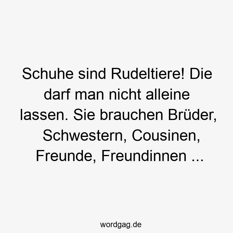 Schuhe sind Rudeltiere! Die darf man nicht alleine lassen. Sie brauchen Brüder, Schwestern, Cousinen, Freunde, Freundinnen ...