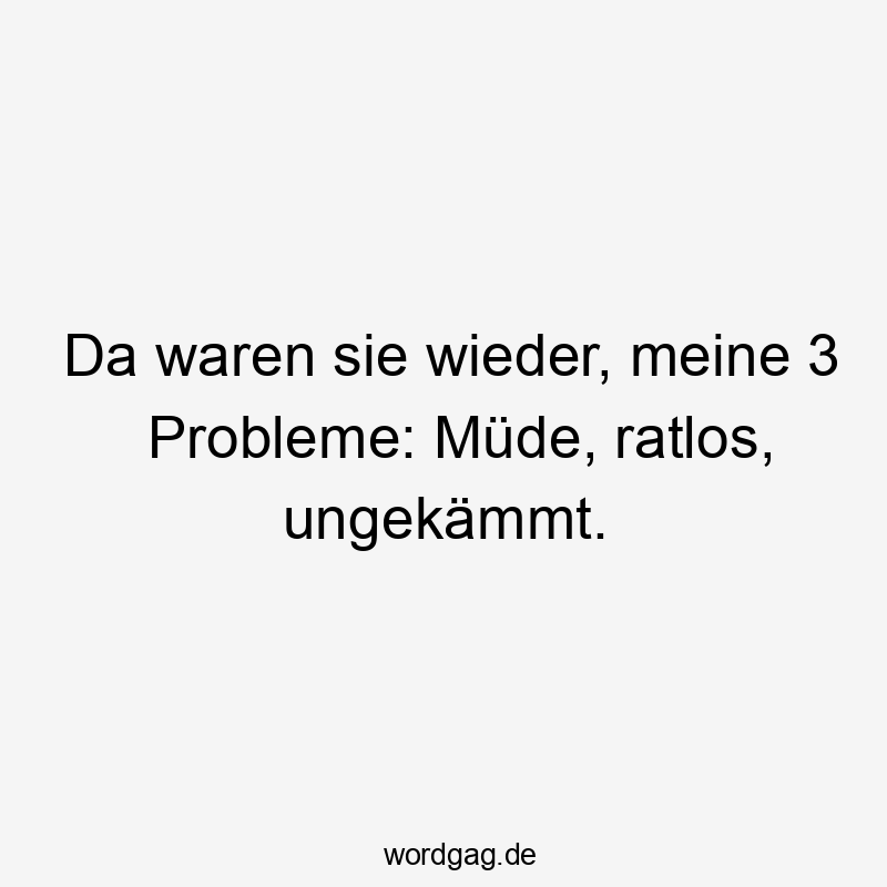 119 Lustige Müde Sprüche - Da waren sie wieder, meine 3 Probleme: Müde, ratlos, ungekämmt.