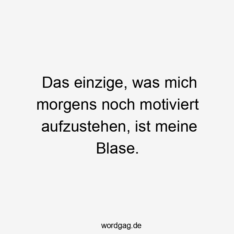Lustige Sprüche: Blase - Das einzige, was mich morgens noch motiviert aufzustehen, ist meine Blase.