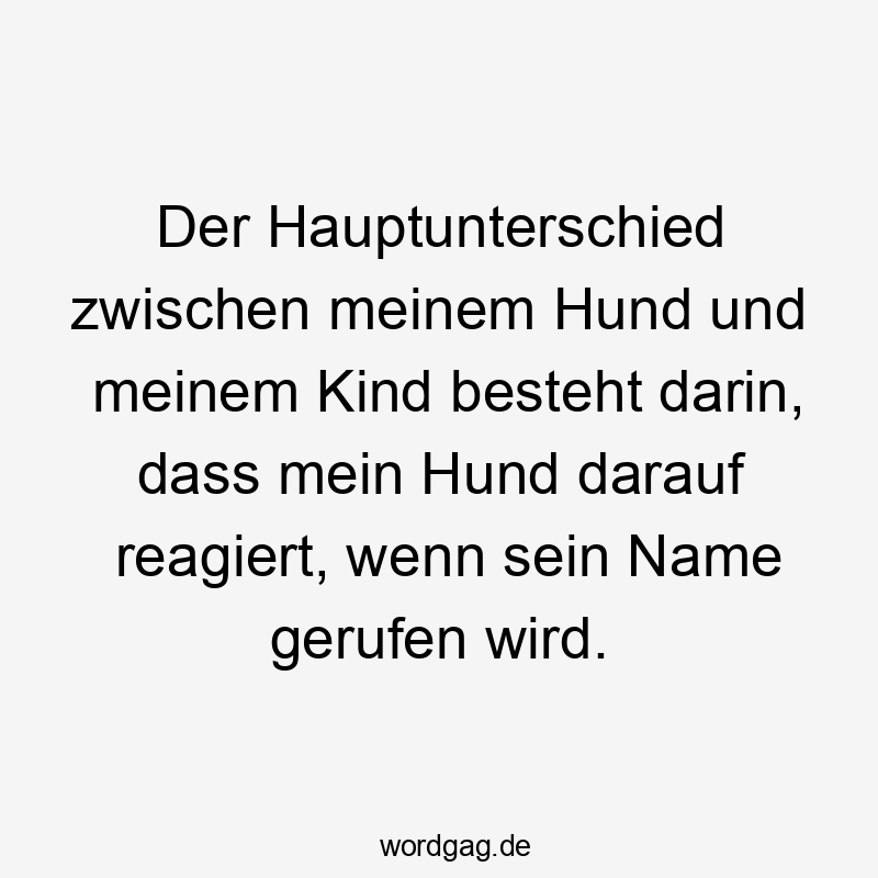 Der Hauptunterschied zwischen meinem Hund und meinem Kind besteht darin, dass mein Hund darauf reagiert, wenn sein Name gerufen wird.