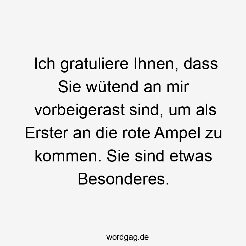 Ich gratuliere Ihnen, dass Sie wütend an mir vorbeigerast sind, um als Erster an die rote Ampel zu kommen. Sie sind etwas Besonderes.