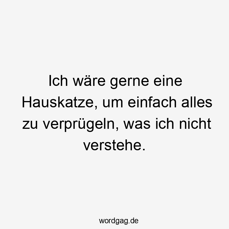 Ich wäre gerne eine Hauskatze, um einfach alles zu verprügeln, was ich nicht verstehe.