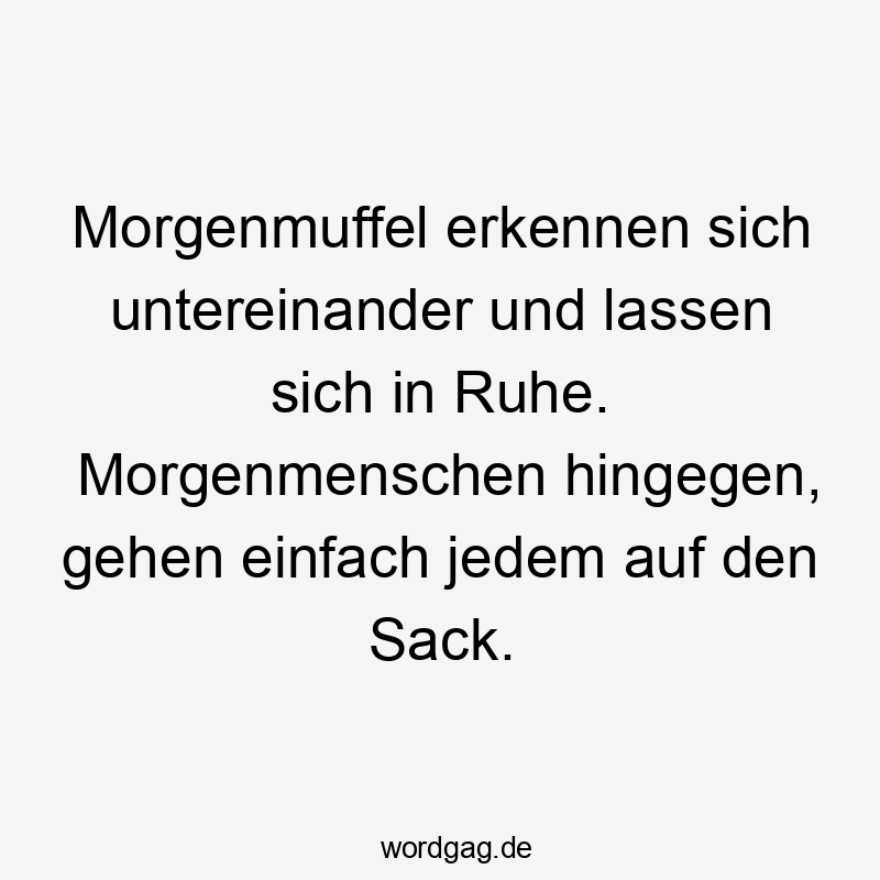 Morgenmuffel erkennen sich untereinander und lassen sich in Ruhe. Morgenmenschen hingegen, gehen einfach jedem auf den Sack.