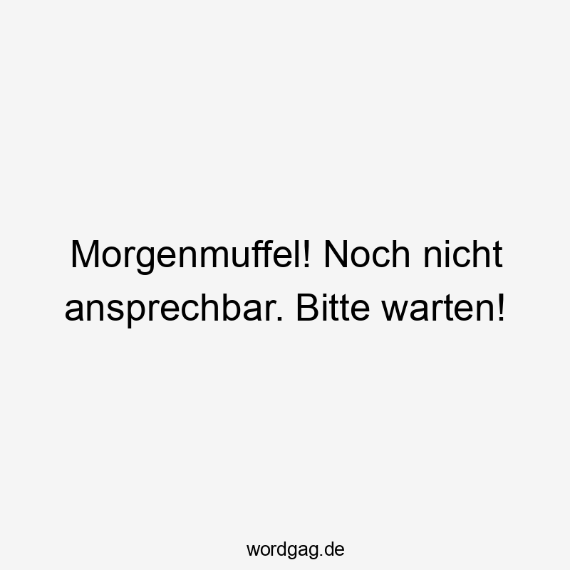 Lustige Sprüche: Morgenmuffel - Morgenmuffel! Noch nicht ansprechbar. Bitte warten!
