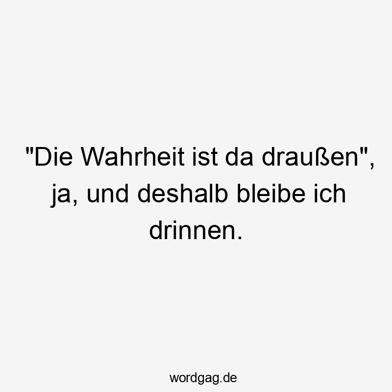 „Die Wahrheit ist da draußen“, ja, und deshalb bleibe ich drinnen.