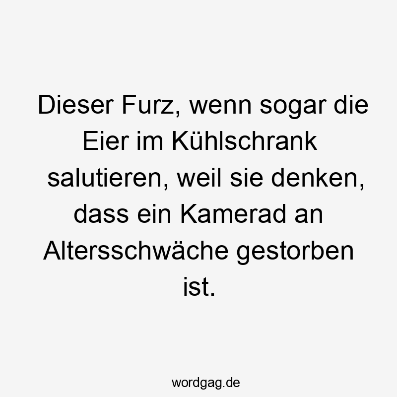 Dieser Furz, wenn sogar die Eier im Kühlschrank salutieren, weil sie denken, dass ein Kamerad an Altersschwäche gestorben ist.