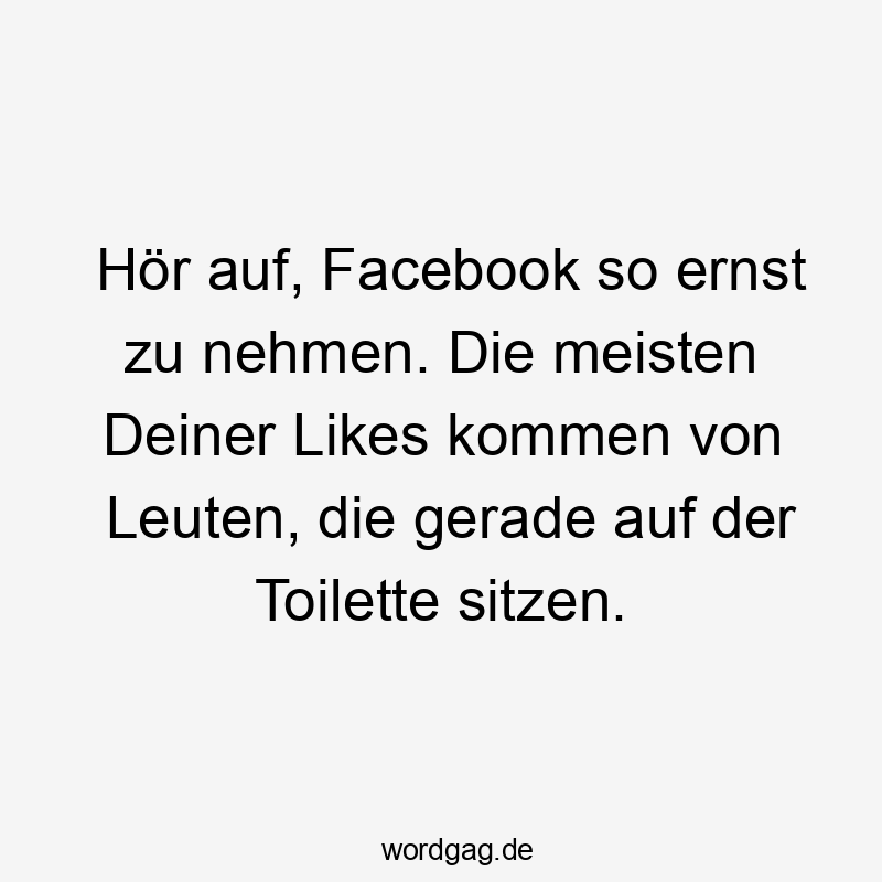 Lustige Sprüche: Toilette - Hör auf, Facebook so ernst zu nehmen. Die meisten Deiner Likes kommen von Leuten, die gerade auf der Toilette sitzen.