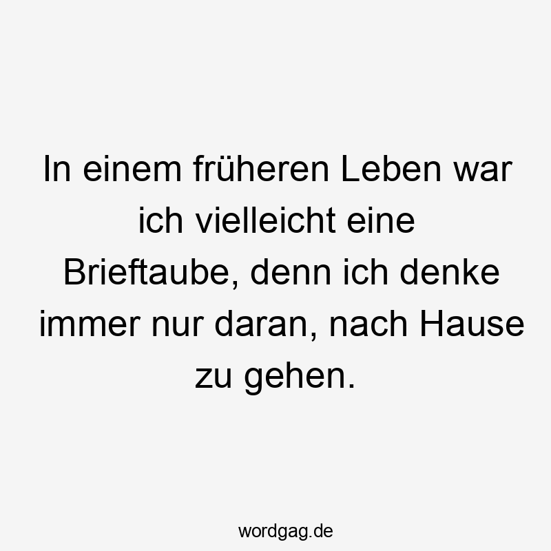 In einem früheren Leben war ich vielleicht eine Brieftaube, denn ich denke immer nur daran, nach Hause zu gehen.