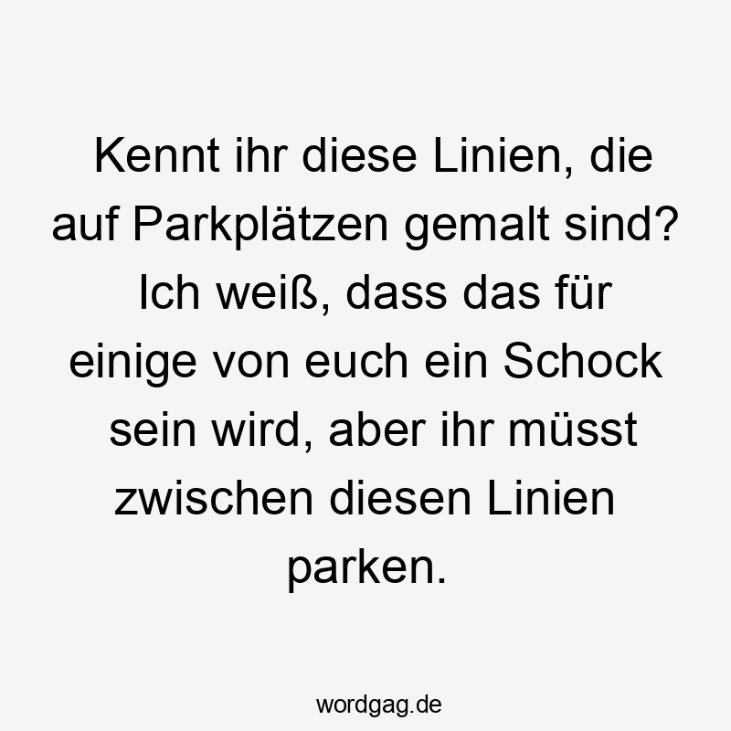 Kennt ihr diese Linien, die auf Parkplätzen gemalt sind? Ich weiß, dass das für einige von euch ein Schock sein wird, aber ihr müsst zwischen diesen Linien parken.