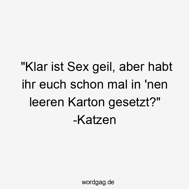 "Klar ist Sex geil, aber habt ihr euch schon mal in 'nen leeren Karton gesetzt?" -Katzen