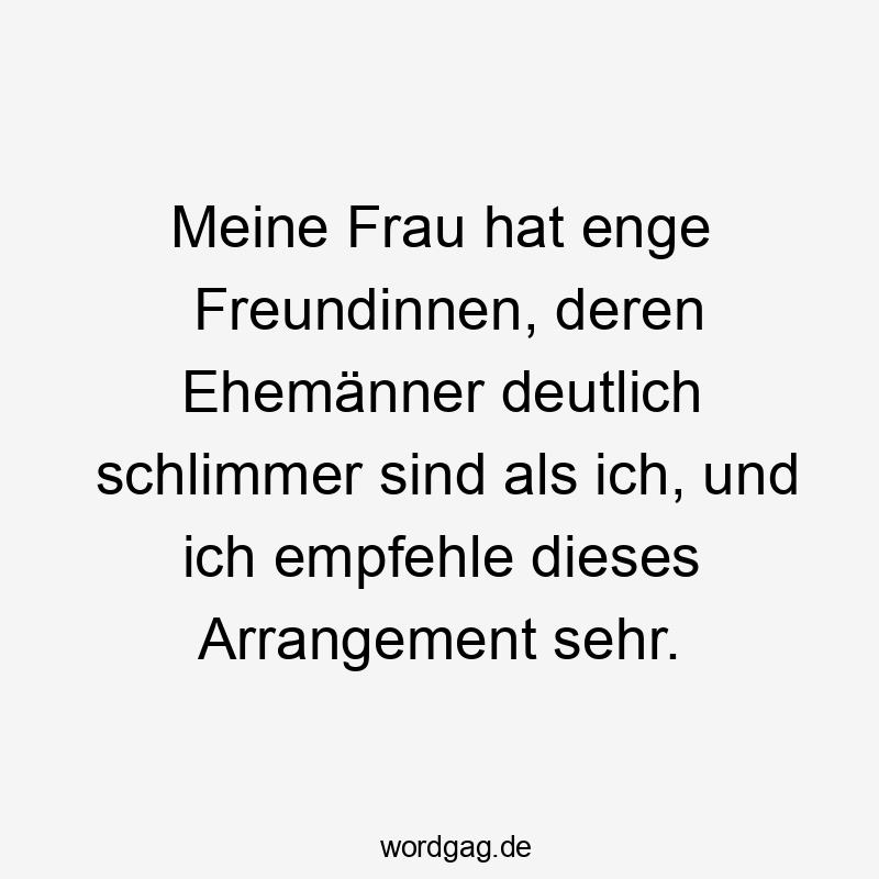Lustige Sprüche: Freundschaft - Meine Frau hat enge Freundinnen, deren Ehemänner deutlich schlimmer sind als ich, und ich empfehle dieses Arrangement sehr.