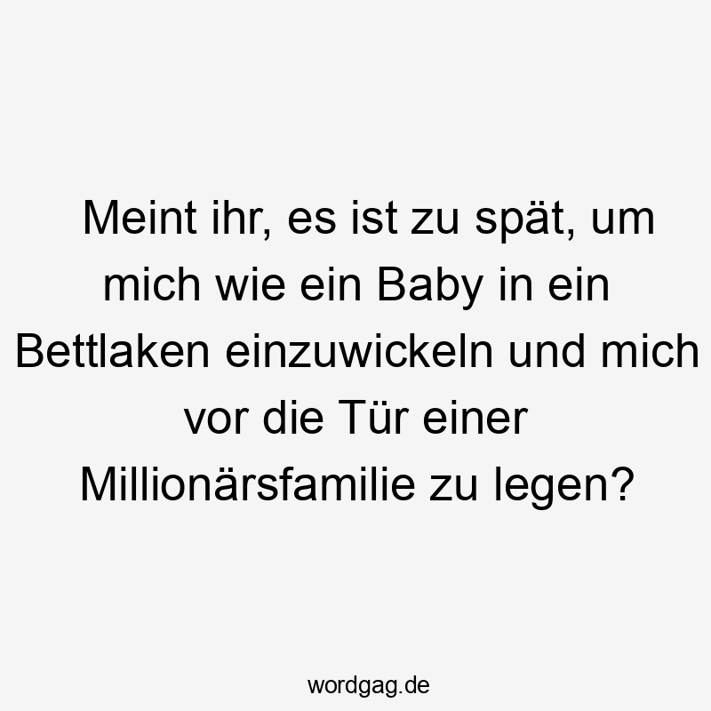 Meint ihr, es ist zu spät, um mich wie ein Baby in ein Bettlaken einzuwickeln und mich vor die Tür einer Millionärsfamilie zu legen?