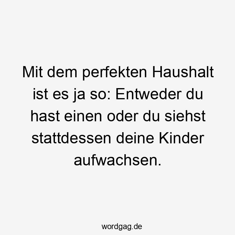 Mit dem perfekten Haushalt ist es ja so: Entweder du hast einen oder du siehst stattdessen deine Kinder aufwachsen.