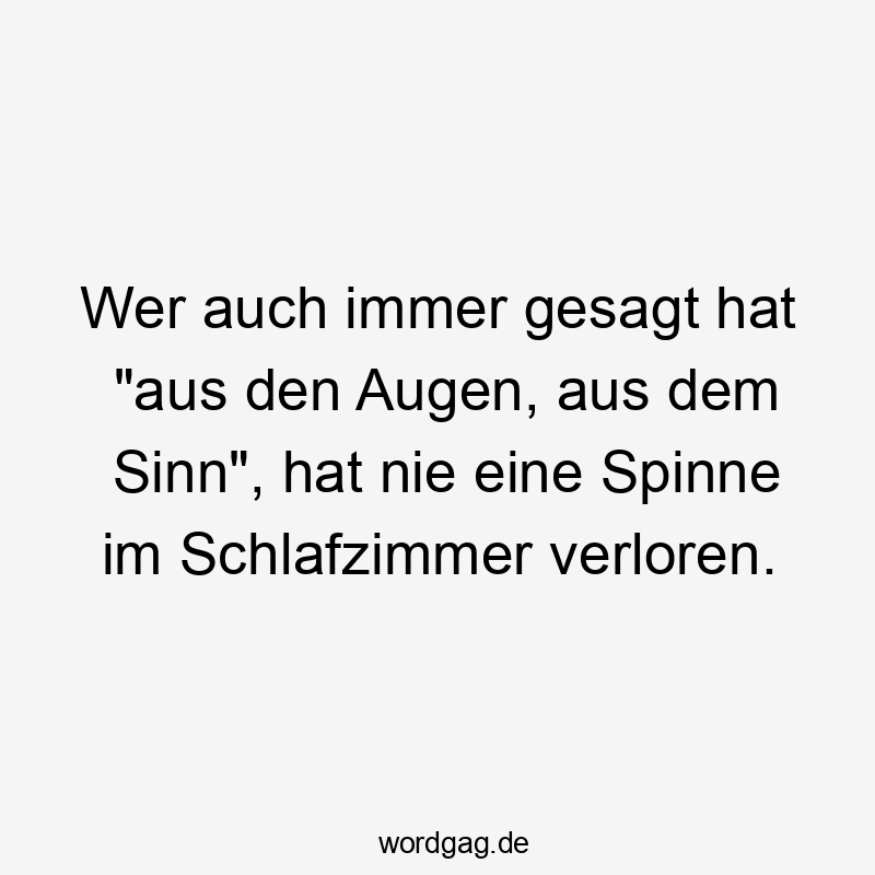 Wer auch immer gesagt hat „aus den Augen, aus dem Sinn“, hat nie eine Spinne im Schlafzimmer verloren.