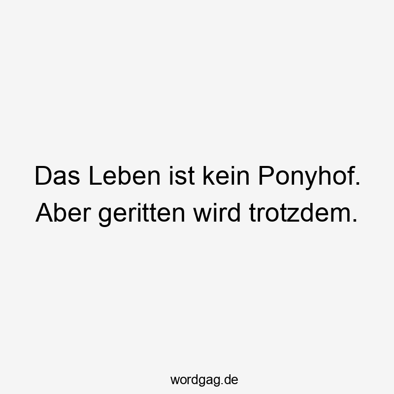 Das Leben ist kein Ponyhof. Aber geritten wird trotzdem.