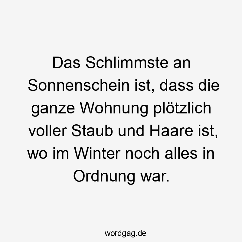Das Schlimmste an Sonnenschein ist, dass die ganze Wohnung plötzlich voller Staub und Haare ist, wo im Winter noch alles in Ordnung war.