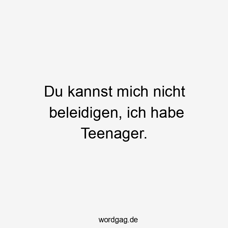 Du kannst mich nicht beleidigen, ich habe Teenager.