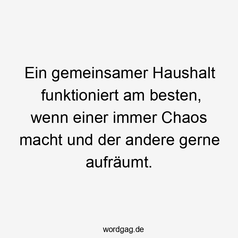 Ein gemeinsamer Haushalt funktioniert am besten, wenn einer immer Chaos macht und der andere gerne aufräumt.