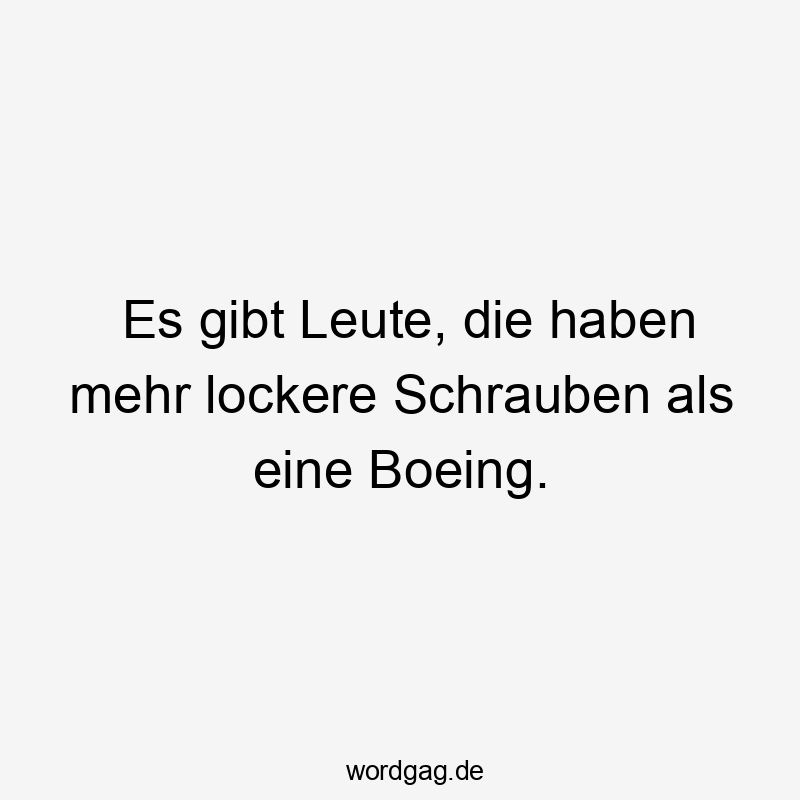 Es gibt Leute, die haben mehr lockere Schrauben als eine Boeing.