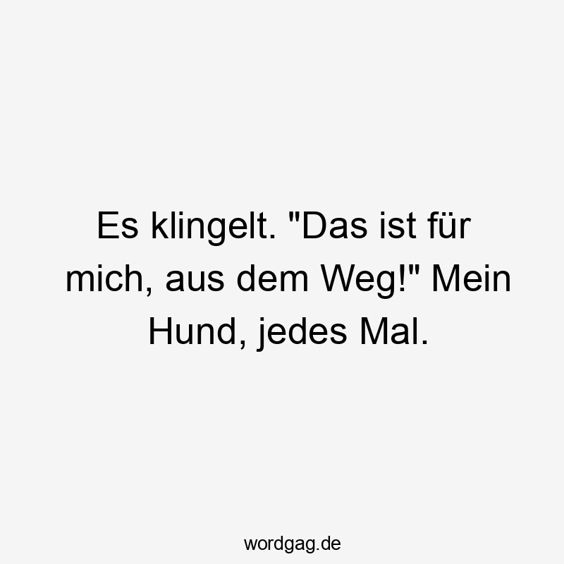 Es klingelt. „Das ist für mich, aus dem Weg!“ Mein Hund, jedes Mal.