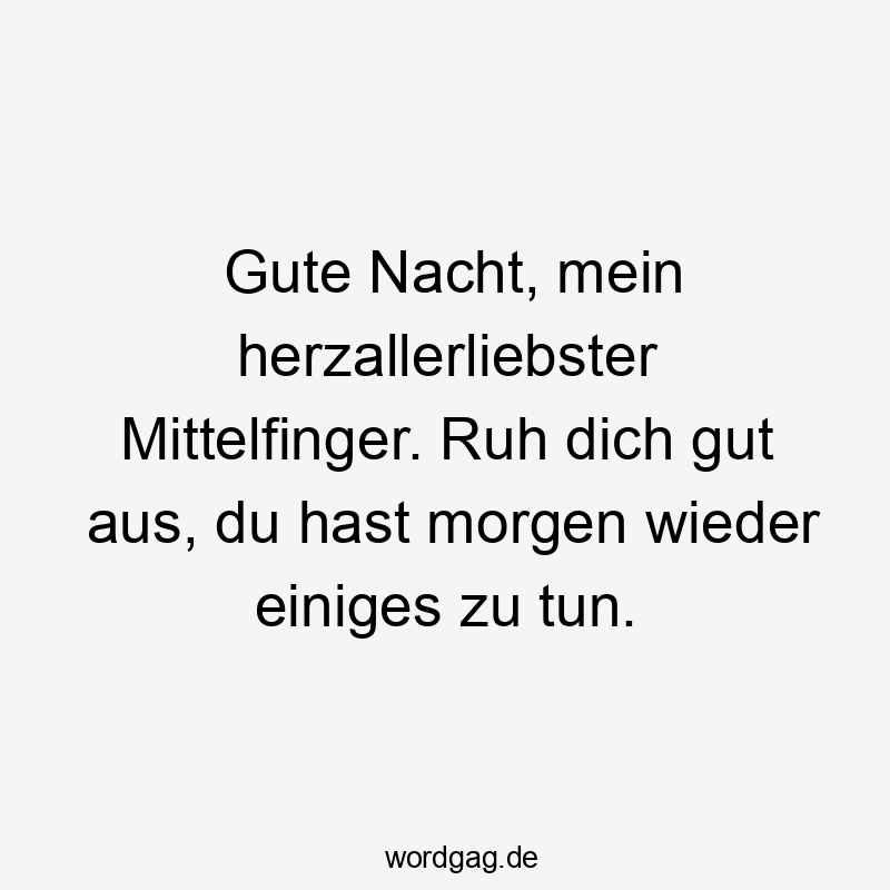 Gute Nacht, mein herzallerliebster Mittelfinger. Ruh dich gut aus, du hast morgen wieder einiges zu tun.