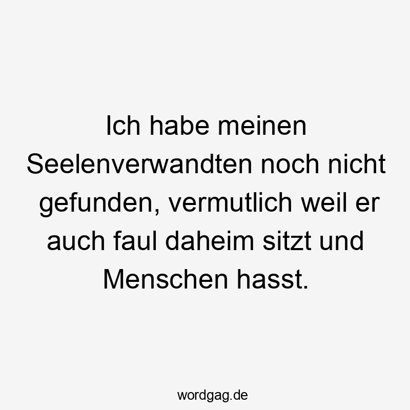 12 Lustige Seelenverwandter Sprüche - Ich habe meinen Seelenverwandten noch nicht gefunden, vermutlich weil er auch faul daheim sitzt und Menschen hasst.