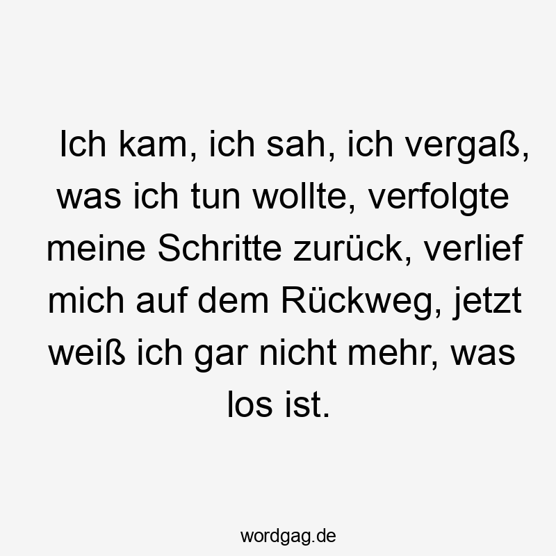 Ich kam, ich sah, ich vergaß, was ich tun wollte, verfolgte meine Schritte zurück, verlief mich auf dem Rückweg, jetzt weiß ich gar nicht mehr, was los ist.