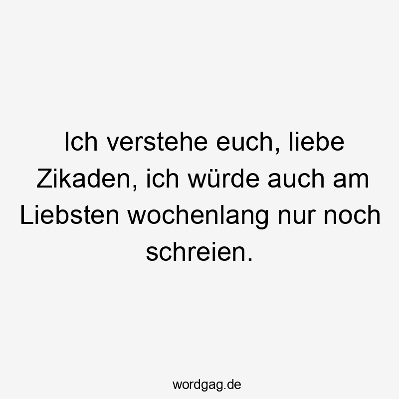 Ich verstehe euch, liebe Zikaden, ich würde auch am Liebsten wochenlang nur noch schreien.