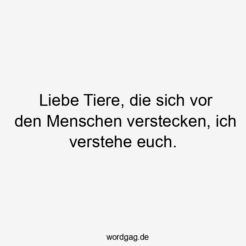 Liebe Tiere, die sich vor den Menschen verstecken, ich verstehe euch.
