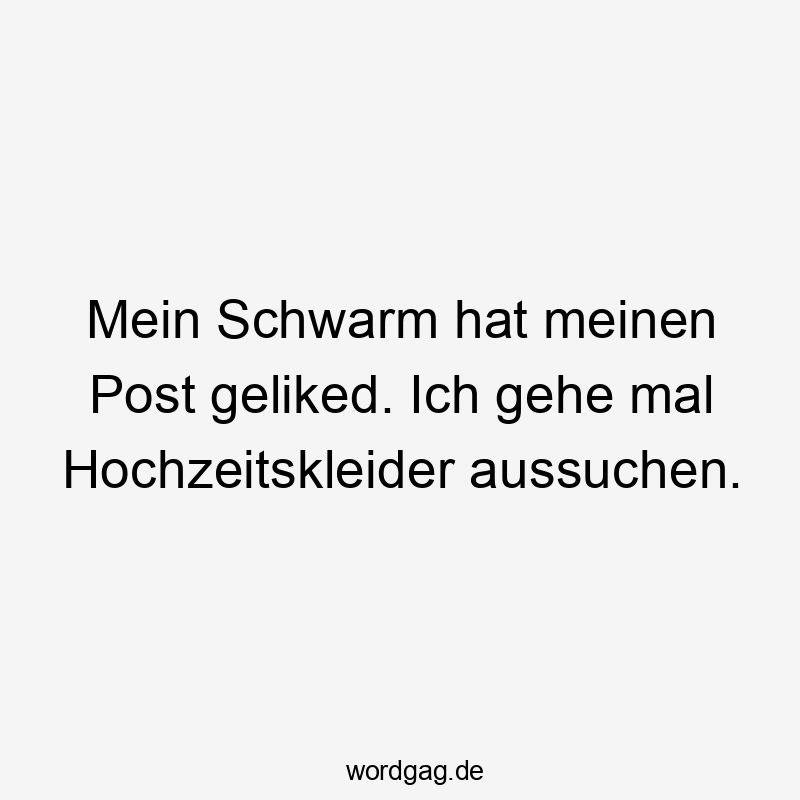 Mein Schwarm hat meinen Post geliked. Ich gehe mal Hochzeitskleider aussuchen.