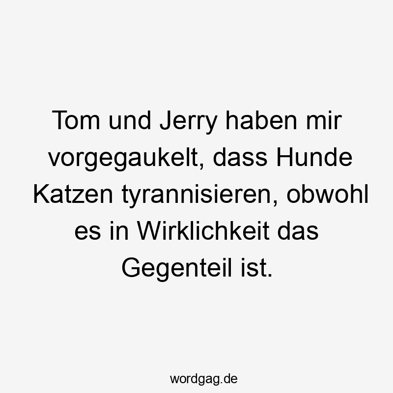 Tom und Jerry haben mir vorgegaukelt, dass Hunde Katzen tyrannisieren, obwohl es in Wirklichkeit das Gegenteil ist.