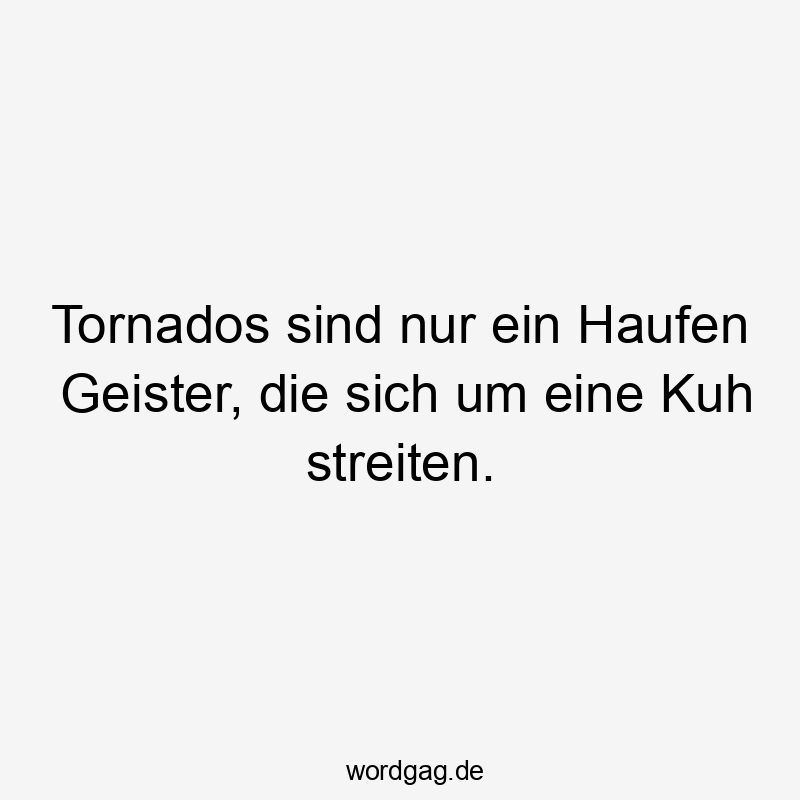 Tornados sind nur ein Haufen Geister, die sich um eine Kuh streiten.