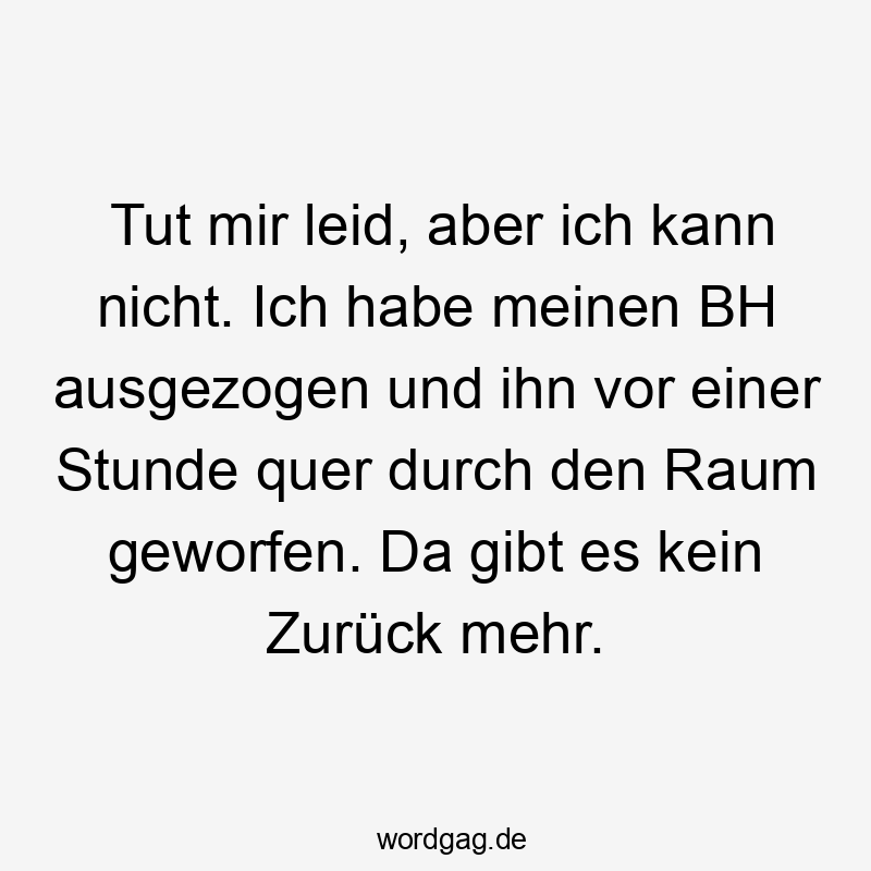 Tut mir leid, aber ich kann nicht. Ich habe meinen BH ausgezogen und ihn vor einer Stunde quer durch den Raum geworfen. Da gibt es kein Zurück mehr.