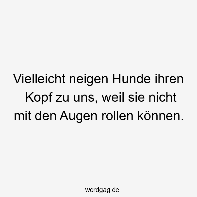 Vielleicht neigen Hunde ihren Kopf zu uns, weil sie nicht mit den Augen rollen können.