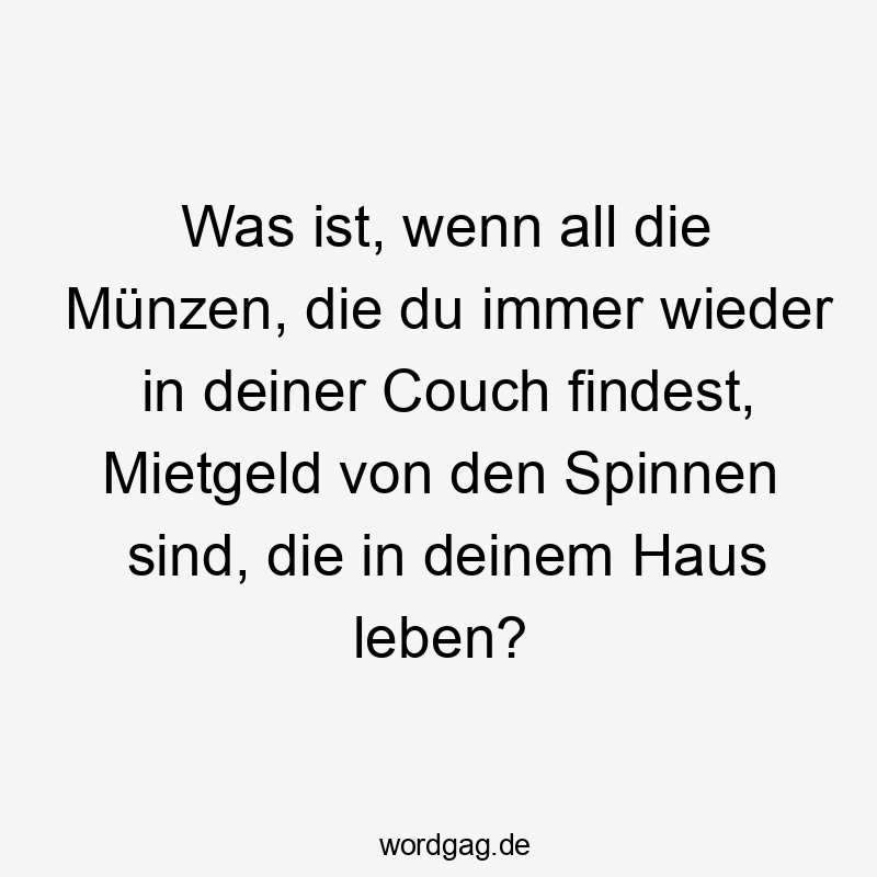 Lustige Sprüche: Spinnen - Was ist, wenn all die Münzen, die du immer wieder in deiner Couch findest, Mietgeld von den Spinnen sind, die in deinem Haus leben?