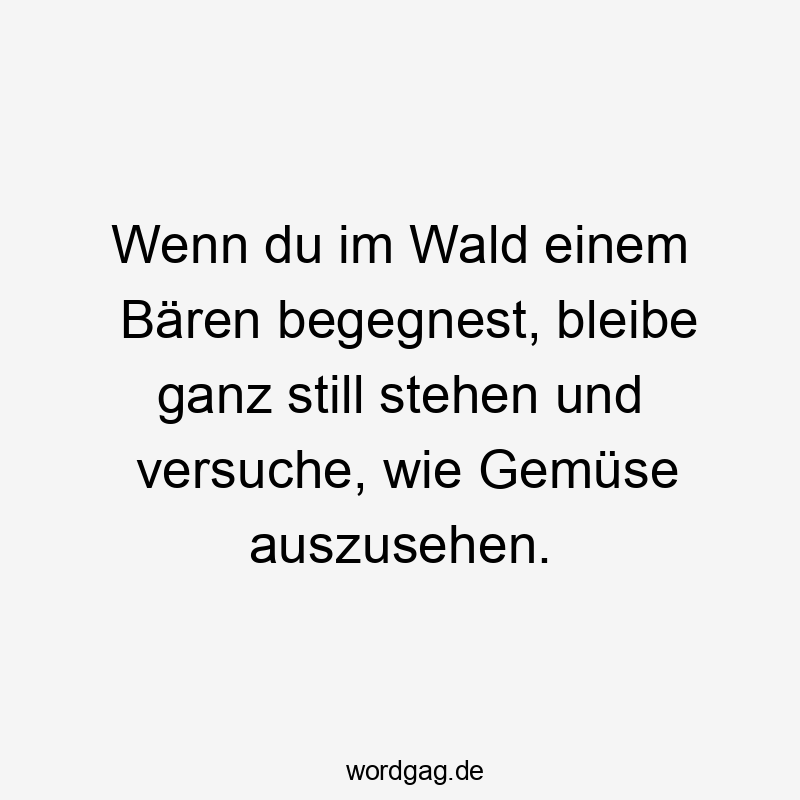 Wenn du im Wald einem Bären begegnest, bleibe ganz still stehen und versuche, wie Gemüse auszusehen.