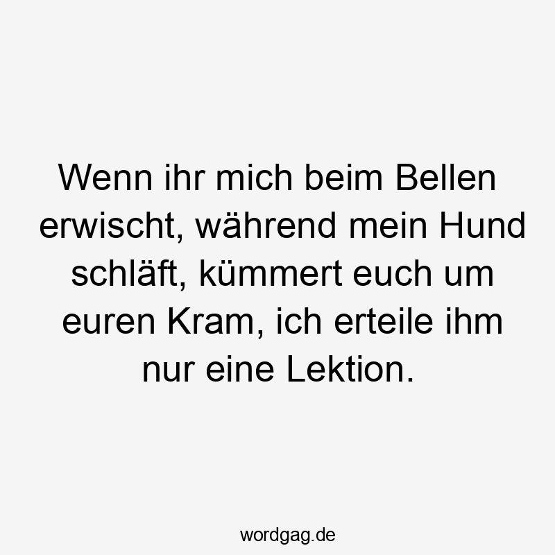 Wenn ihr mich beim Bellen erwischt, während mein Hund schläft, kümmert euch um euren Kram, ich erteile ihm nur eine Lektion.