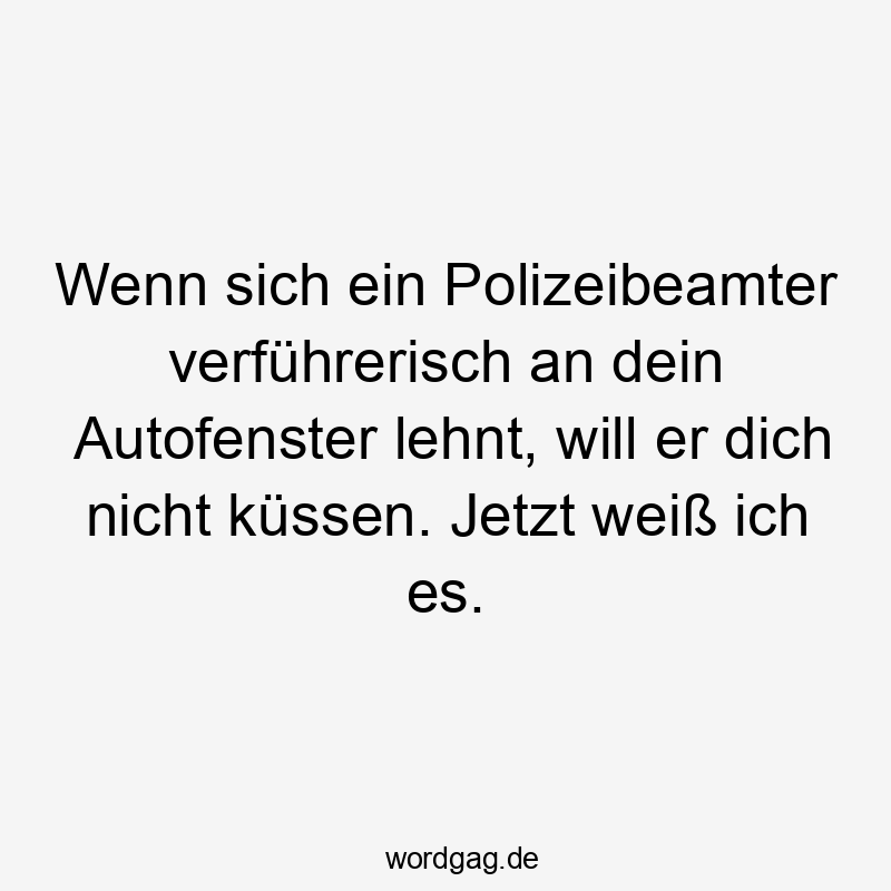 Wenn sich ein Polizeibeamter verführerisch an dein Autofenster lehnt, will er dich nicht küssen. Jetzt weiß ich es.