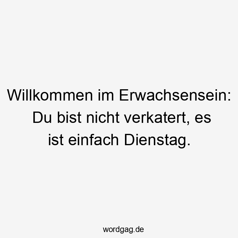 Willkommen im Erwachsensein: Du bist nicht verkatert, es ist einfach Dienstag.