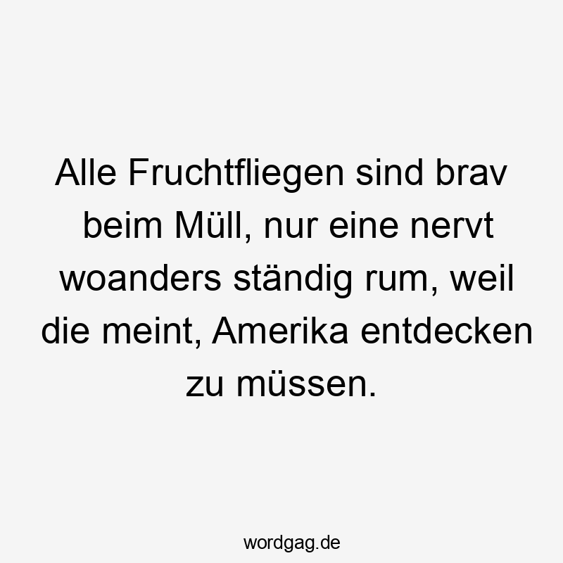 Alle Fruchtfliegen sind brav beim Müll, nur eine nervt woanders ständig rum, weil die meint, Amerika entdecken zu müssen.
